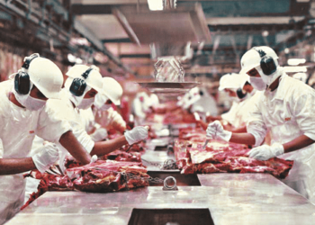 Industria carne
