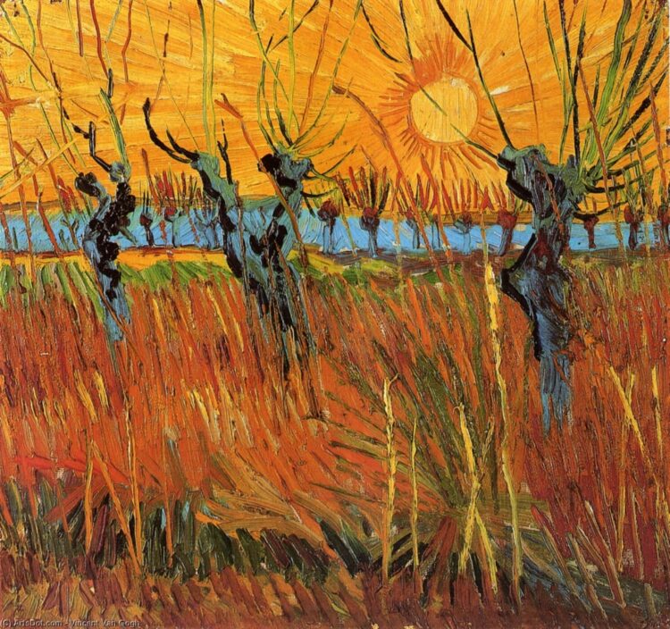 Vincent van gogh willows at sunset