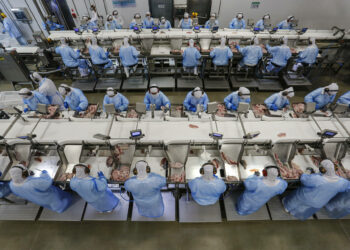 277 cidades paranaenses tiveram saldo positivo nas contrações no mês passado