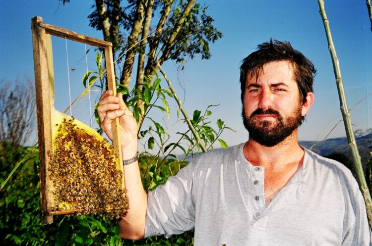 A vida entre abelhas de Jairo Guilhobel Siqueira