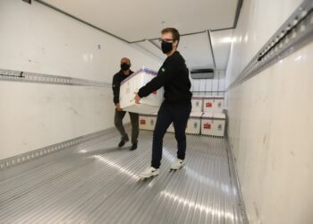 242 mil doses do imunizante Covishield chegam ao Paraná hoje para vacinar gestantes e pessoas com comorbidades