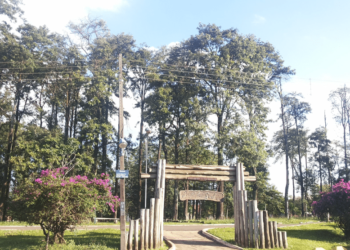 Bosque das Grevíleas; Lugar de lazer e saúde em Maringá