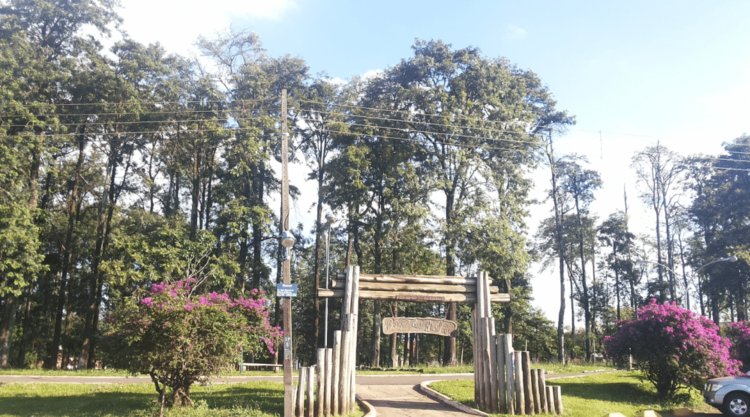 Bosque das Grevíleas; Lugar de lazer e saúde em Maringá