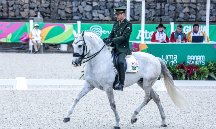 Hipismo olímpico