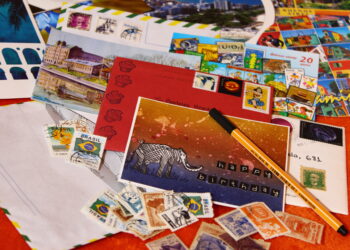 Fonte: Barbara Neme Dutra