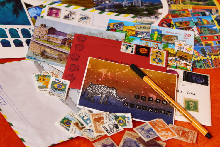 Fonte: Barbara Neme Dutra