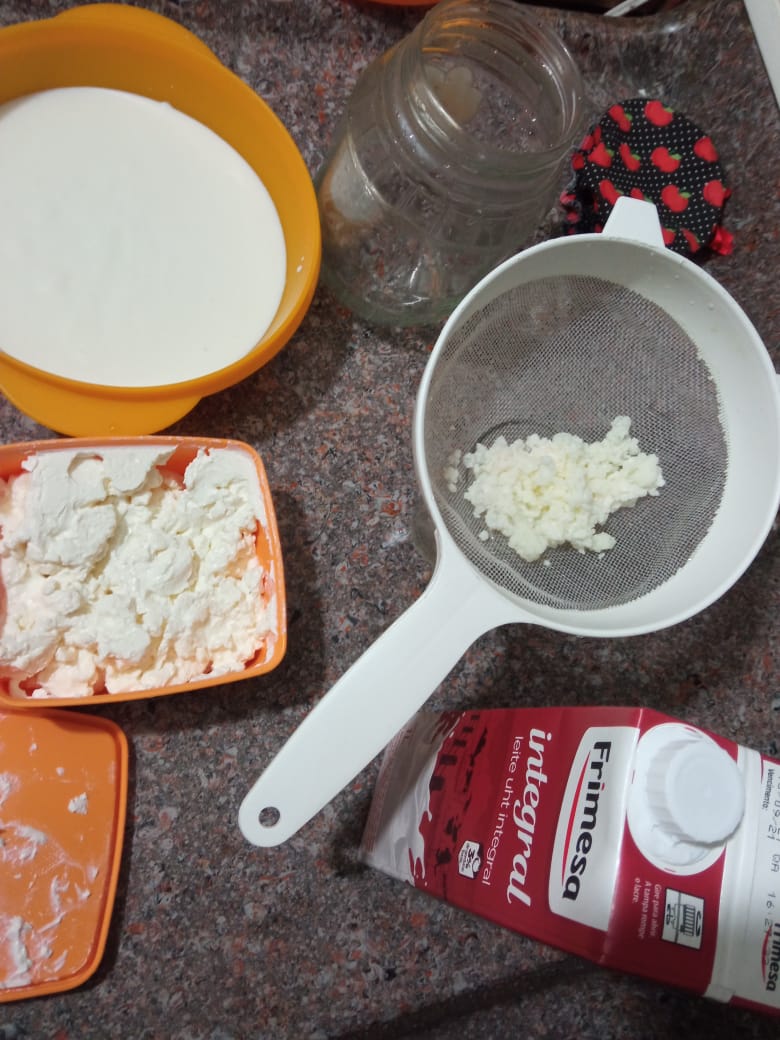 Probióticos: conheça sobre as bactérias que fazem bem para o organismo