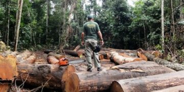 Antena multissatelital auxiliará na preservação ambiental da Amazônia