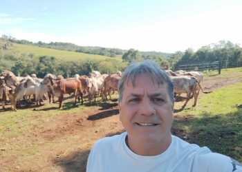 Dia do Pecuarista destaca a importância da profissão no campo