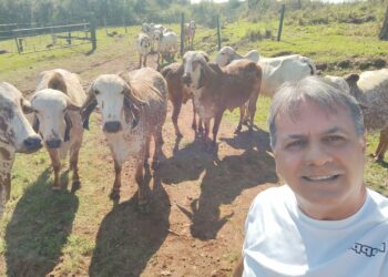 Dia do Pecuarista destaca a importância da profissão no campo