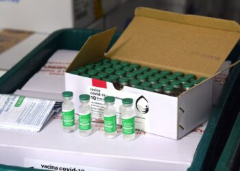 Mais 141 mil doses de imunizantes em combate ao coronavírus chegam ao Paraná hoje