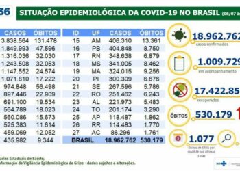 Situação epidemiológica da covid-19 no Brasil - Divulgação/Ministério da Saúde