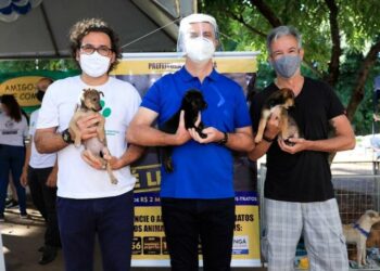 Legenda: FEIRAS DE ADOÇÃO. André Severino junto com o secretário de Meio Ambiente e Bem-estar Animal, Marco António e o 
Prefeito Ulisses Maia na causa animal. FOTO- REPRODUÇÃO