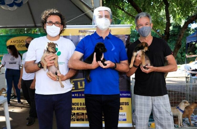 Legenda: FEIRAS DE ADOÇÃO. André Severino junto com o secretário de Meio Ambiente e Bem-estar Animal, Marco António e o 
Prefeito Ulisses Maia na causa animal. FOTO- REPRODUÇÃO