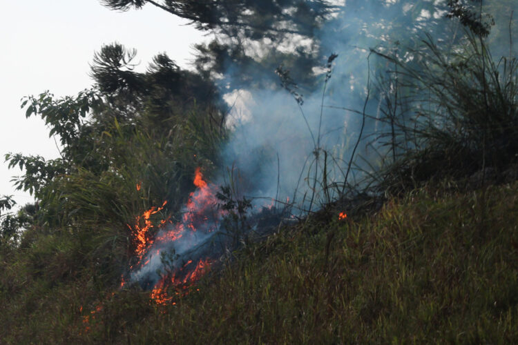 268 focos de incêndio