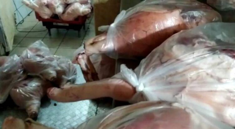 Três toneladas de carne de porco são apreendidas em depósito clandestino em Maringá