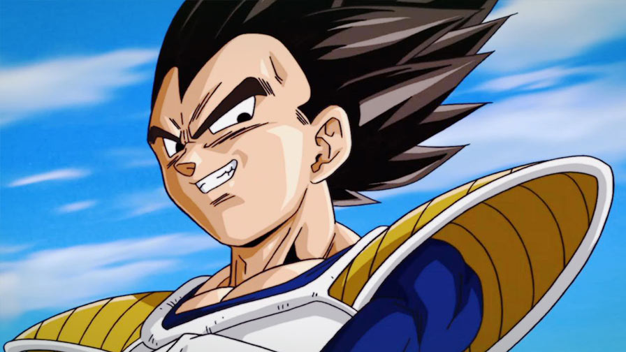 vegeta 4