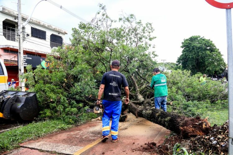 Equipes da Prefeitura de Maringá continuam no atendimento das chamadas da população após danos do temporal