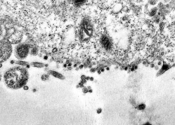 © Débora Barreto/Fiocruz