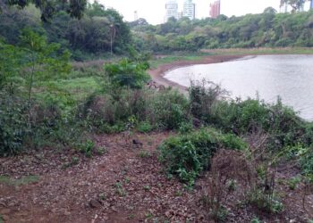 lago do parque do ingá