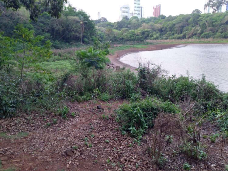 lago do parque do ingá