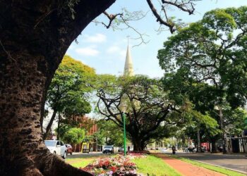 Sexta-feira em Maringá será de céu nublado