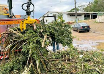 Com o novo equipamento, galhadas, que antes eram problema, agora viram adubo