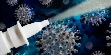 Pesquisadores da USP apresentam sugestão de imunizante em spray contra covid-19 para Anvisa