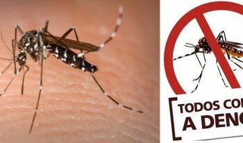 Campanha de Combate ao Mosquito Transmissor da Dengue