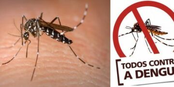 Campanha de Combate ao Mosquito Transmissor da Dengue
