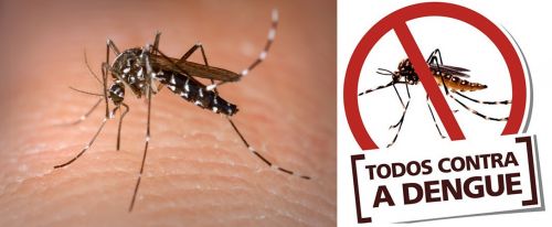 1639777626 Campanha de Combate ao Mosquito Transmissor da Dengue