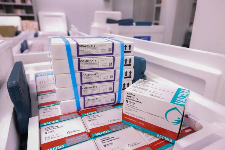 Novo lote com 387.240 imunizantes em combate ao coronavírus chega ao Paraná hoje