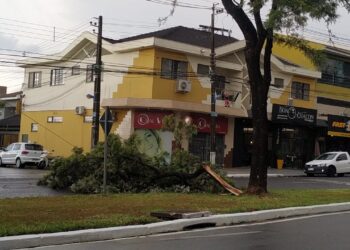 Forte chuva de quarta-feira derrubou várias árvores e galhos, deixando vários pontos da cidade sem energia elétrica