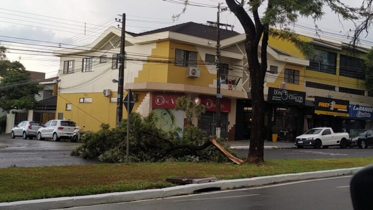 Forte chuva de quarta-feira derrubou várias árvores e galhos, deixando vários pontos da cidade sem energia elétrica