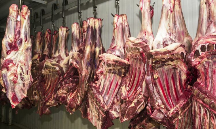 Importação de carne bovina é retomada na China