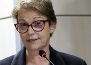 Brasil tem fertilizantes até outubro, garante ministra da Agricultura