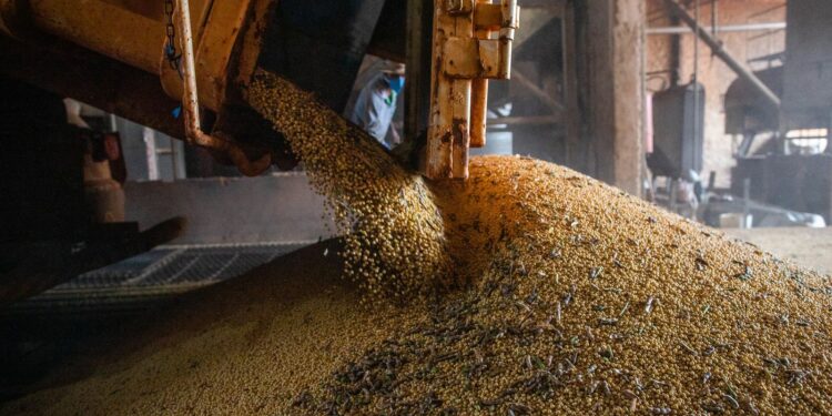 Conab estima safra de grãos de 265,7 milhões de toneladas
