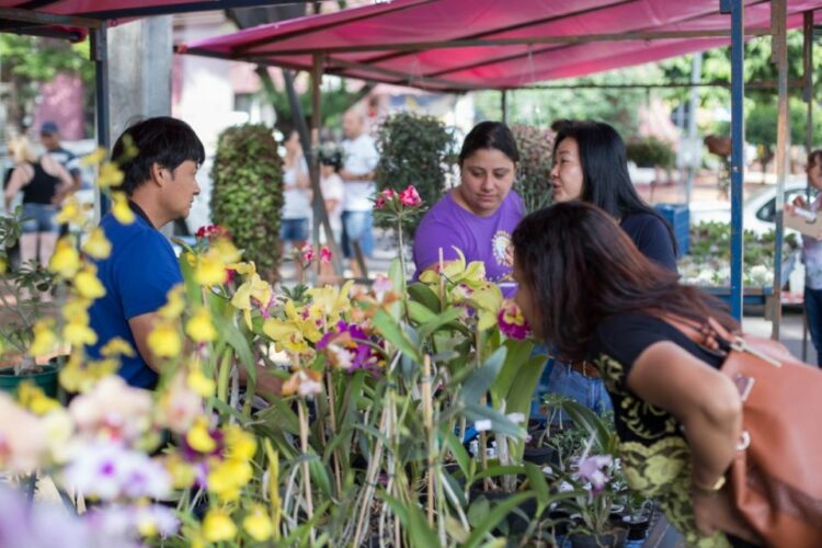 Feira de Flores em Maringá
