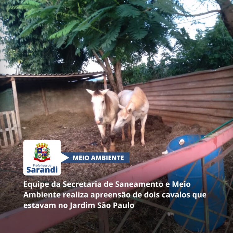 Equipe da Secretaria de Saneamento e Meio Ambiente realiza apreensão de dois cavalos que estavam no Jardim São Paulo