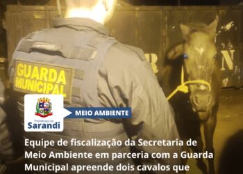 Equipe de fiscalização da Secretaria de Meio Ambiente em parceria com a Guarda Municipal apreende dois cavalos que estavam no Jardim Esperança