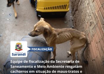 Equipe de fiscalização da Secretaria de Saneamento e Meio Ambiente resgatam cachorros em situação de maus-tratos e aplicam 150 mil reais em multas