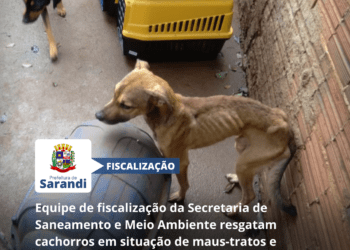 Equipe de fiscalização da Secretaria de Saneamento e Meio Ambiente resgatam cachorros em situação de maus-tratos e aplicam 150 mil reais em multas
