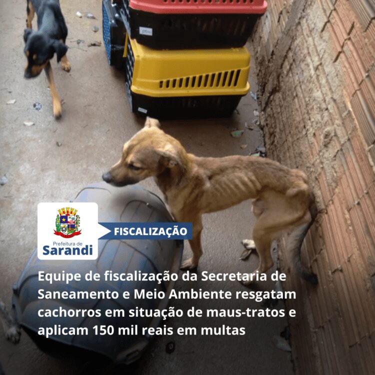 Equipe de fiscalização da Secretaria de Saneamento e Meio Ambiente resgatam cachorros em situação de maus-tratos e aplicam 150 mil reais em multas