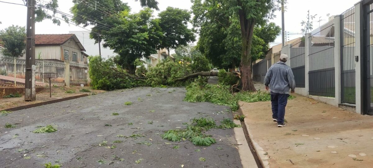 Cidades da região de Maringá também tiveram estragos com temporal do final de semana