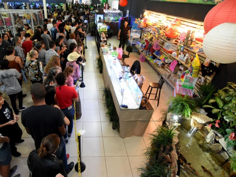 Expo Pet promove a alegria para todas as idades