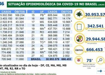 Covid-19 Brasil
