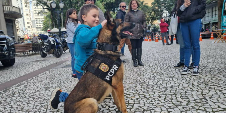 prevenção às drogas