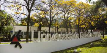 Universidade Estadual de Maringá divulga abertura de 1.470 vagas remanescentes para a graduação