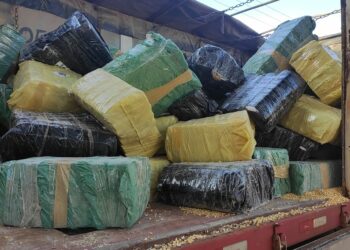 Após monitorar motorista de Maringá, Denarc apreende 7 toneladas de maconha