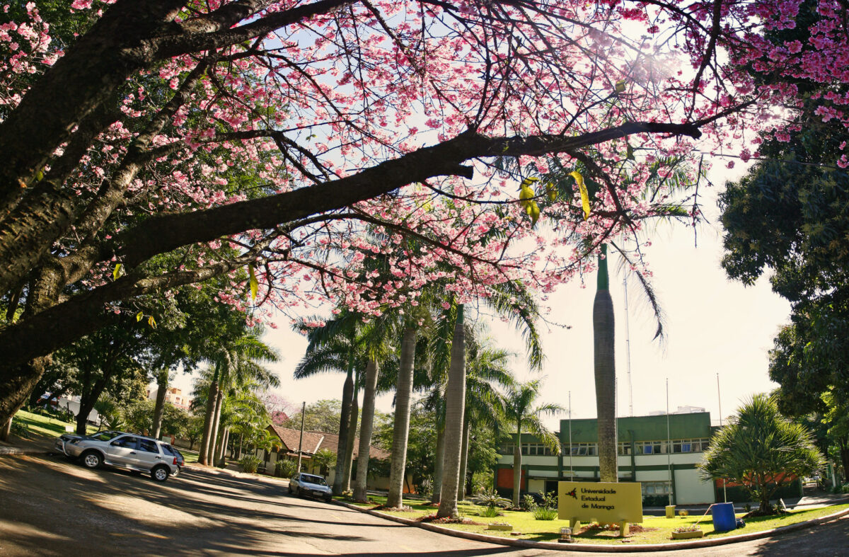Congresso Internacional de Biologia Celular e Molecular